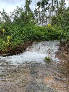 Misty Beats Coorg Home Stay - Virajpet - 5
