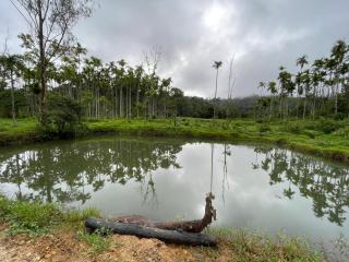Misty Beats Coorg Home Stay - Virajpet - 2