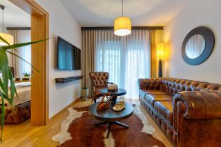 Zlatiborski trenutak Wellness & spa - Zlatibor - 8