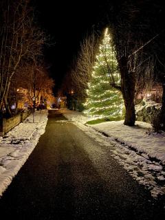 Apartaments Alta Muntanya - 5