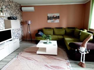 Mountain view apartment - Pirot - 1