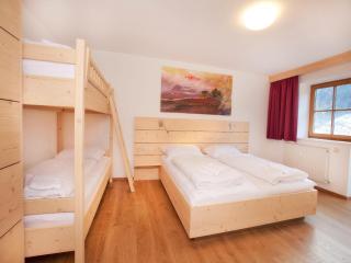 Chalet in Pinzgau near Wildkogel Arena - Wald im Pinzgau - 7