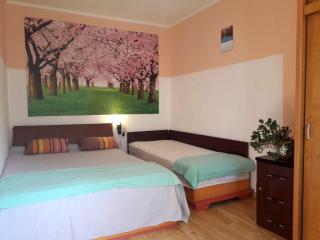 Economy Cozy 2BR Apartment, Ciresica and Tomis Nord - Constança - 5