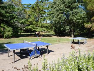 Les Gîtes du Domaine de Rhodes - Aviñón - 1