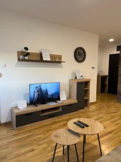 Lana apartman - Novi Sad - 8