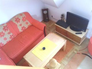 Apartmani Kris - Zlatibor - 4