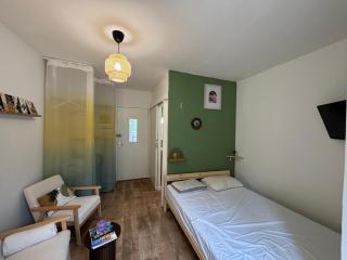 Studio Nid sur la Cascade - Eaux-Bonnes - 4