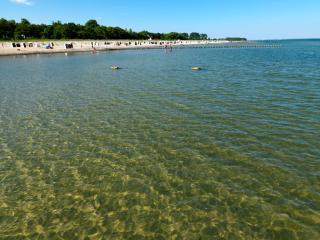 Buchenweg Inselnest - Poel - 1