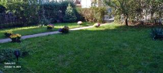 Villaweb Ground Floor ap in a house, 5min drive to center&airport, villa can accomodate 12-18pers - Iaşi - 6