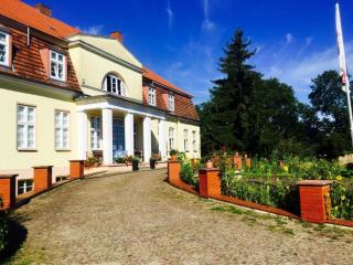 Gutshaus Borkow - Borkow - 8