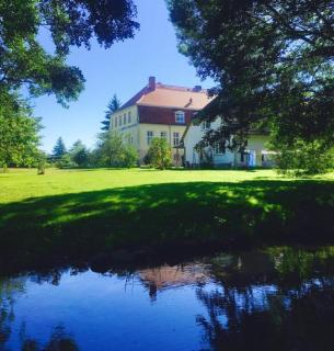 Gutshaus Borkow - Borkow - 9