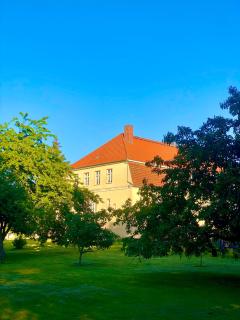 Gutshaus Borkow - Borkow - 7