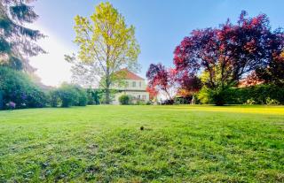 Gutshaus Borkow - Borkow - 5