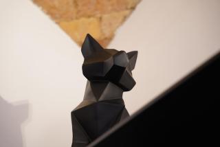 THE GRAND VIEW front of Saint Peter - Rome - 6