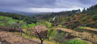 Quinta Dos Kiwis - 2