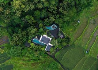 Dwa Chandra Villas & Retreats on River Gorge - Ubud - 0