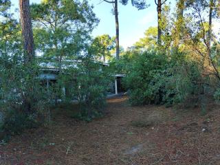 Villa en lisière de forêt avec jardin, à 1,5 km de l'Océan, idéale pour des vacances reposantes - FR-1-736-16 - Lège-Cap-Ferret - 9