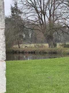 La Grange D'EsusTerra - Piscine - 6 pers - Rêve au Mans - Aubigné-Racan - 8