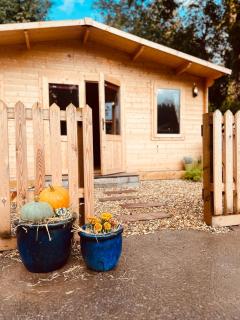 Oak Tree Cabin - Caldicot - 5
