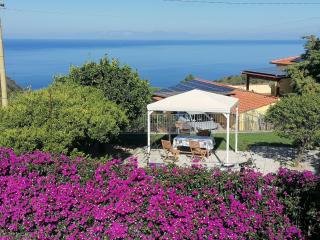 Il Mirto - Marciana - 0