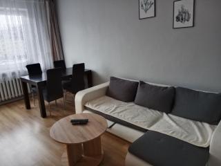 Duży apartament z widokiem na góry - 3 pokoje - Bielawa - 9