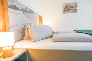 Klinglerhof - Saalfelden am Steinernen Meer - 3
