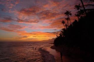 Green Grove - Matara - 7