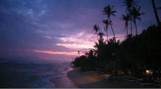 Green Grove - Matara - 8