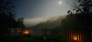 RR Forest View - Ooty - 8