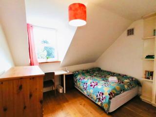 Charming Victorian flat with free parking - Woolwich - 9