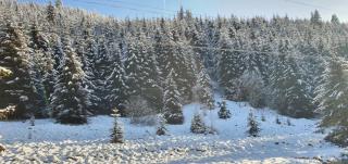 Csillag kulcsoshaz - 6