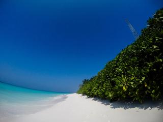 Cerulean View Residence - Hanimaadhoo - 7