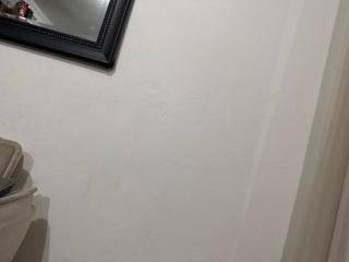 Casa venida - São Paulo - 0