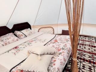 Starlight privet camp - Ḩawīyah - 3