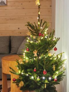 Apartament Antałówka z ogródkiem - 9