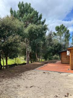 Quinta do Pinheiro - Ourém - 5