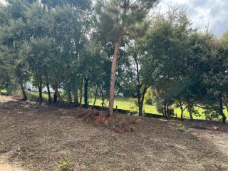 Quinta do Pinheiro - Ourém - 3