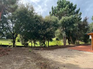Quinta do Pinheiro - Ourém - 1