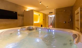 Villa MyKoltrina in Central Istria for 10 persons with with wellness & 72 m2 large pool - Butkovići - 8