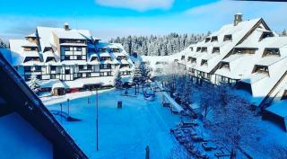 Vuk & Sofija Apartmani - Kopaonik - 2