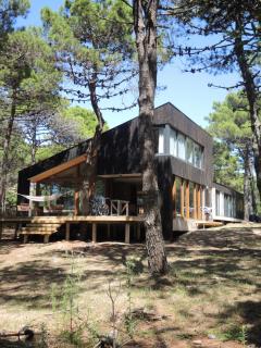 Pinot Noir - Pinamar - 4