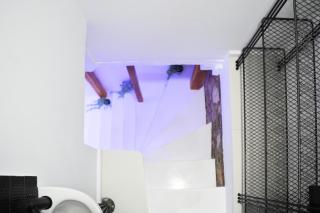 Ziv Boutique Apartments Town Square II - Lefkada - 1