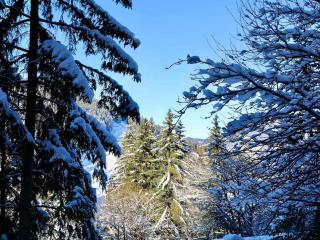 Courchevel 1650 : Appart neuf 2P+cab, idéal 4 pers proche centre avec parking - FR-1-575-188 - Courchevel - 2