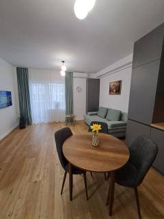 Studio Elisabeth - Şelimbăr - 0