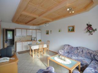 Holiday home with panoramic view - Waldkirchen - 1