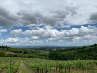CHARM VILLA Tuscany - Gambassi Terme - 1