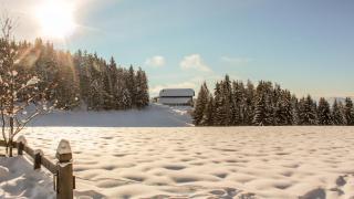 Berghotel zum Zirm - Collalbo - 6