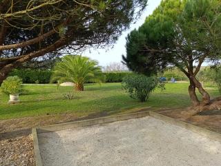 Catshouse - Carqueja - 5