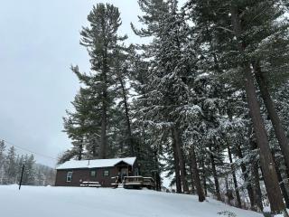 Paddler's Rest Lakeside Cabins and Motel - Long Lake - 4
