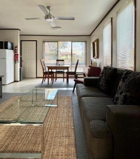 Little Gem in the City - Canberra - 7